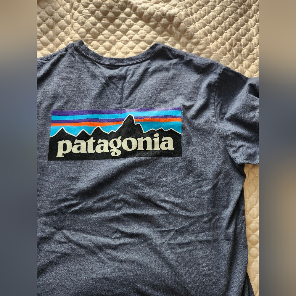 Patagonia Blue T-Shirt with Vibrant Logo